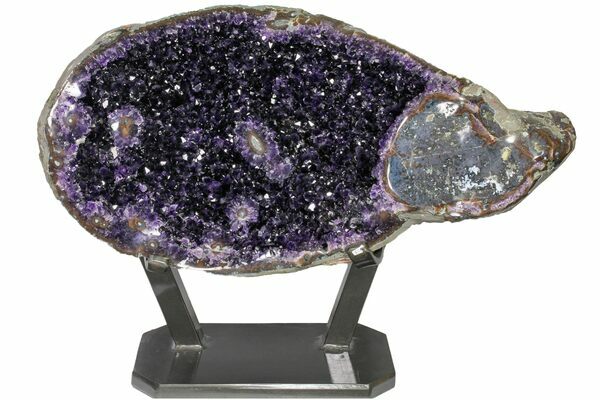 A three foot wide amethyst geode from the mines in Artigas, Uruguay.